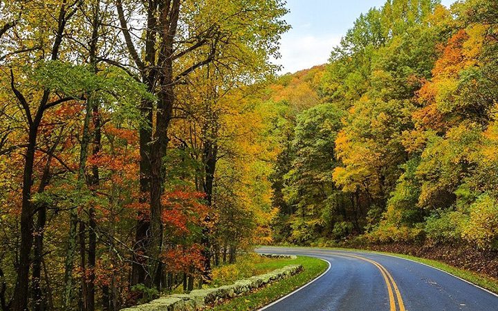 Cinq trajets de conduite automnale pour voir les plus beaux feuillages du pays